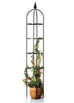 Rankgitter aus schwarz lackiertem Metall 